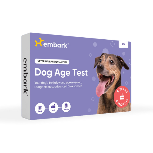 Dog Age Test